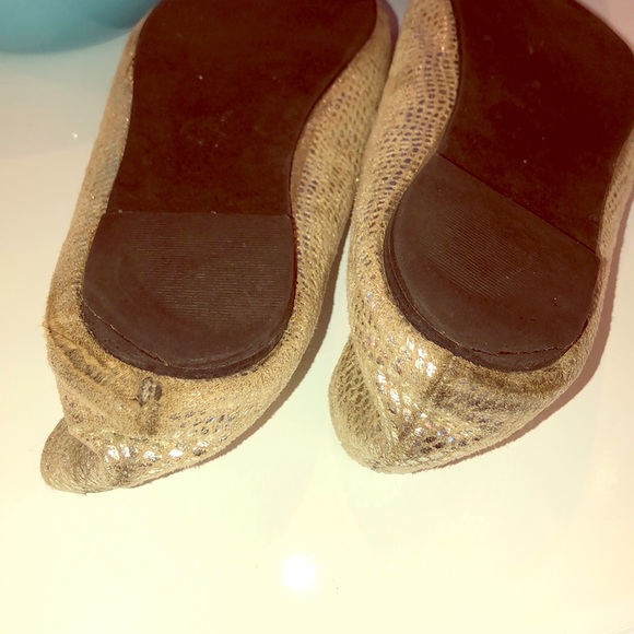 Silver Flats - Picture 5 of 6